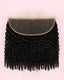 13x6 HD Burmese Curly Lace Frontal